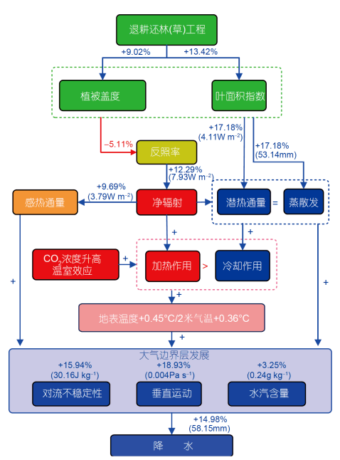 花开无言 第9页