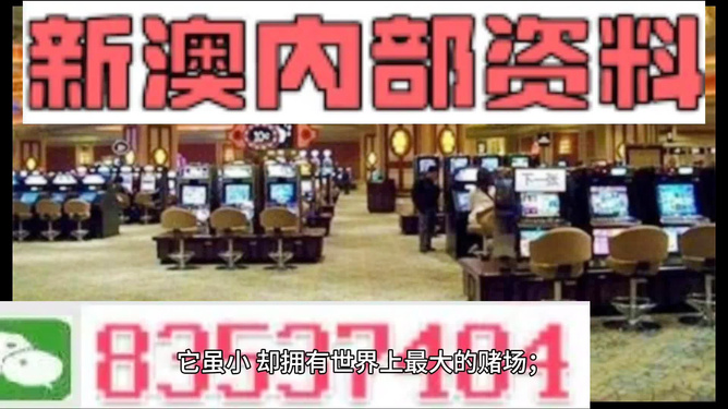 2024新奥精准正版资料,实地分析数据执行_se版38.11.80