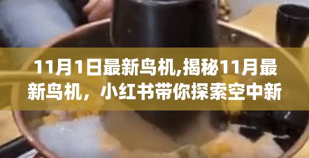 揭秘最新鸟机，小红书带你探索空中新宠的神秘面纱（11月版）