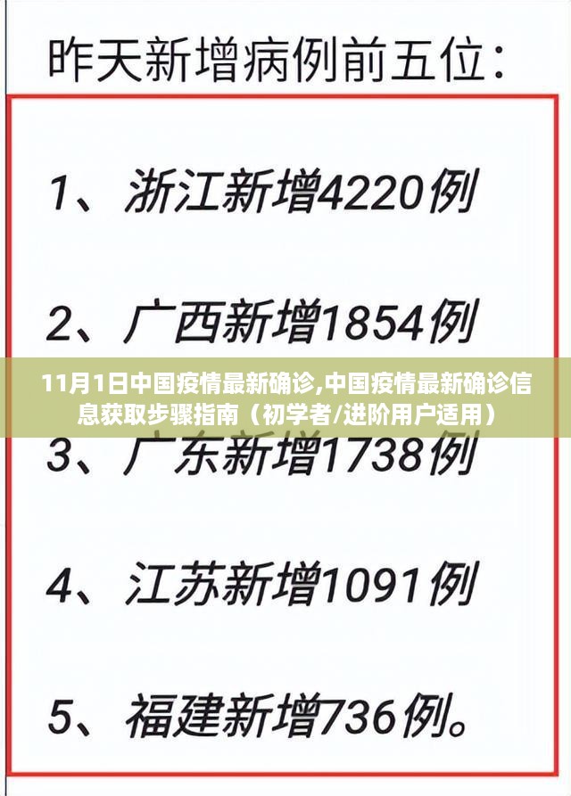 中国疫情最新确诊信息获取指南，11月1日确诊数据详解及适用初学者与进阶用户的指南