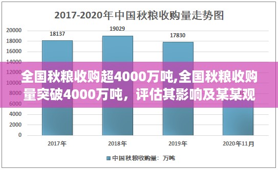 2024年11月2日 第33页