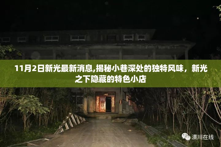 揭秘新光小巷的独特风味，隐藏的特色小店最新消息速递（11月2日）