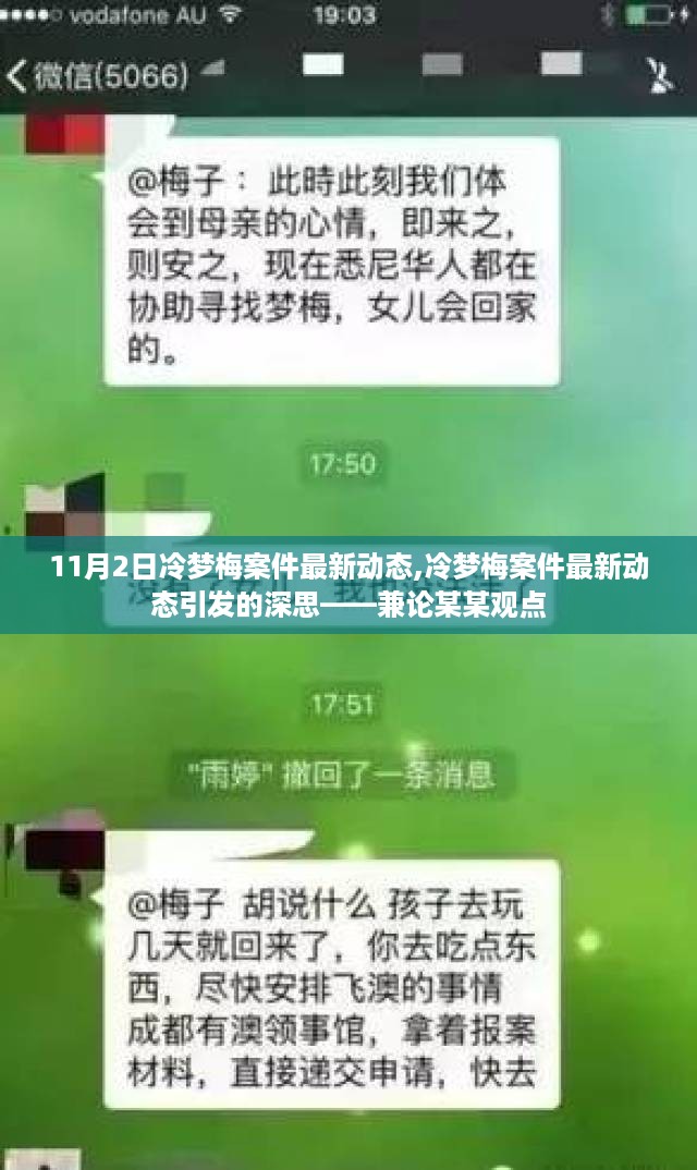 冷梦梅案件最新动态及其引发的深思——聚焦某某观点