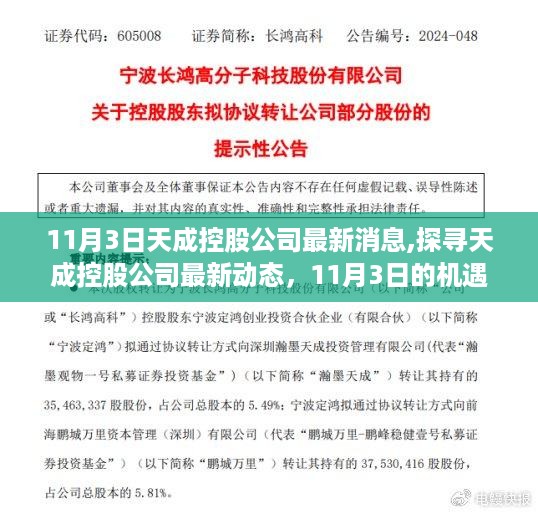 探寻天成控股公司最新动态，机遇与挑战并存，揭秘最新消息（11月3日）