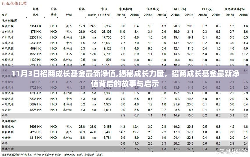 揭秘招商成长基金最新净值背后的故事与启示，成长力量展望及启示分析（xxxx年11月3日）