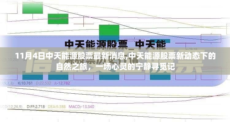 中天能源股票最新动态，自然之旅的心灵宁静寻觅之旅