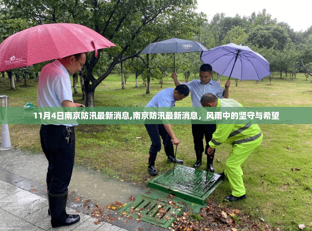 南京防汛最新动态，风雨中的坚守与希望