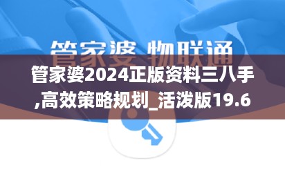 管家婆2024正版资料三八手,高效策略规划_活泼版19.606