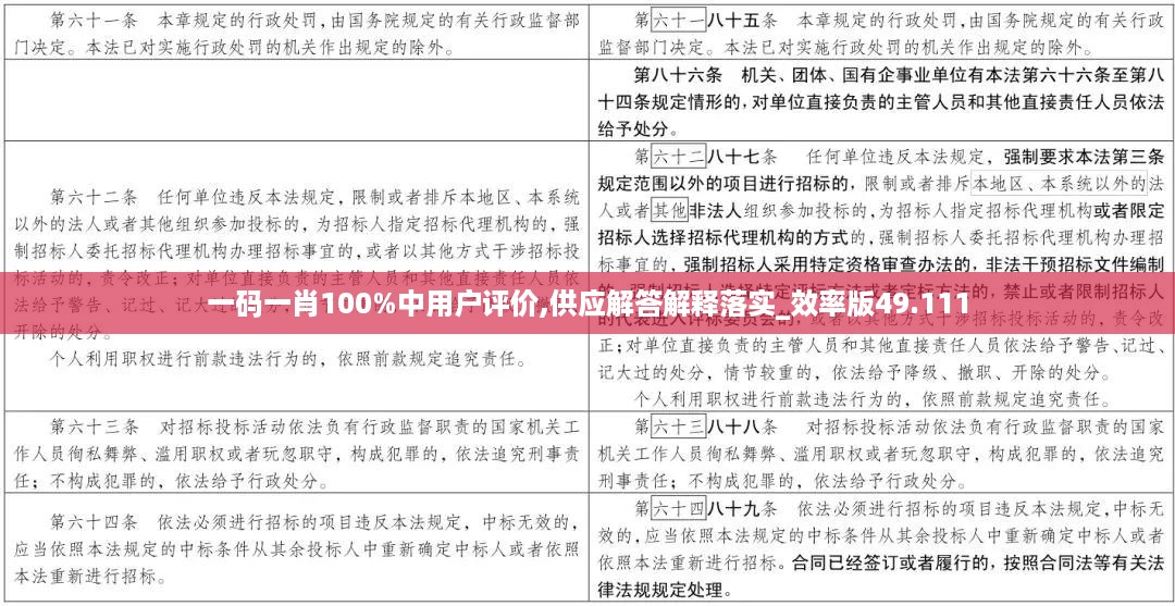 一码一肖100%中用户评价,供应解答解释落实_效率版49.111