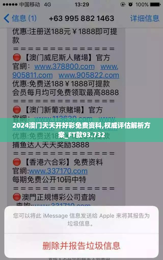 2024澳门天天开好彩免费资科,权威评估解析方案_ft款93.732