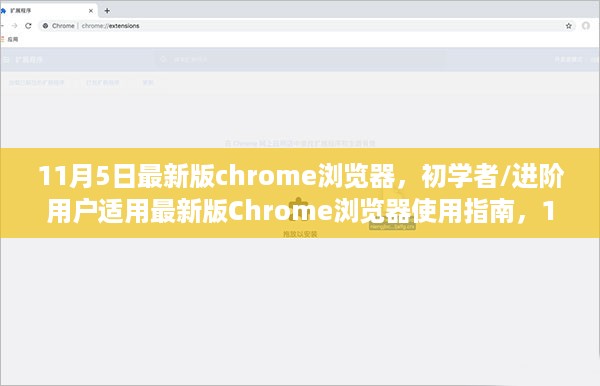 最新版chrome浏览器使用指南，初学者与进阶用户必备指南（适用于11月5日版）