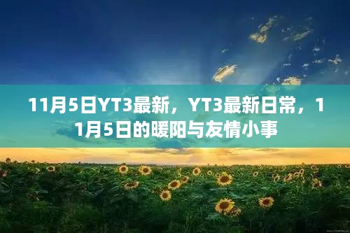 11月5日暖阳下的yt3日常与友情小事