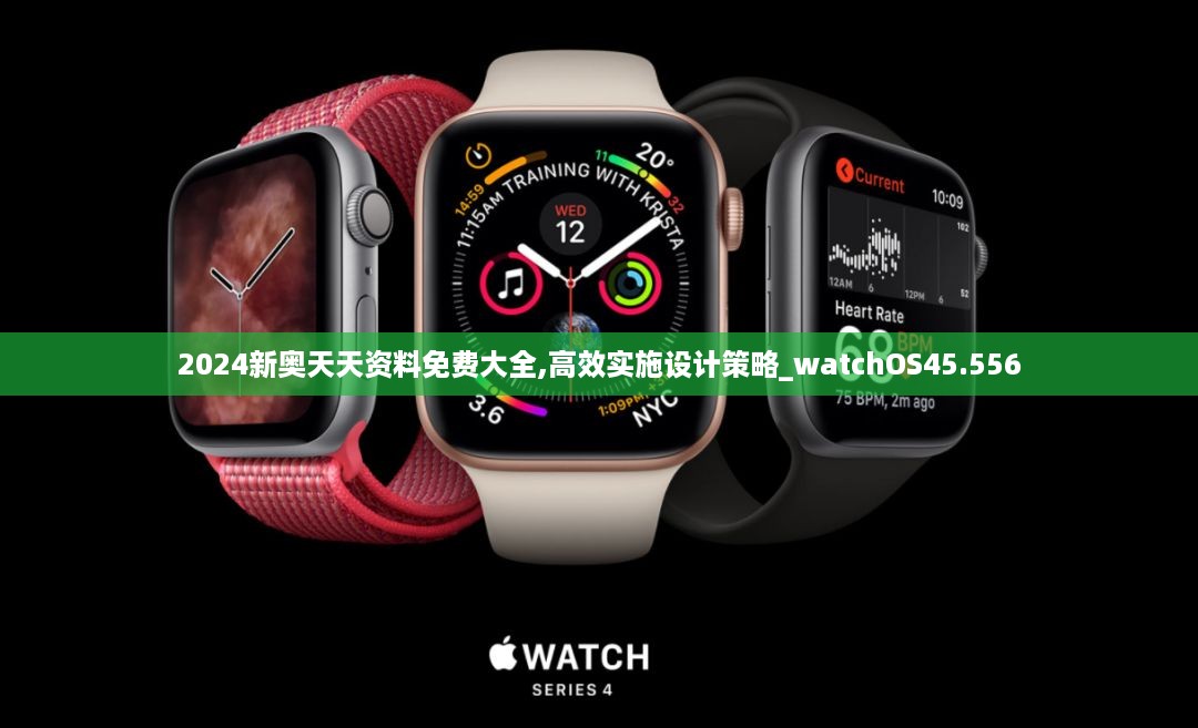 2024新奥天天资料免费大全,高效实施设计策略_watchos45.556