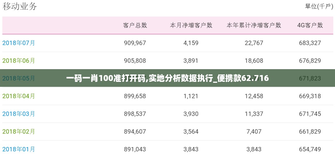 一码一肖100准打开码,实地分析数据执行_便携款62.716