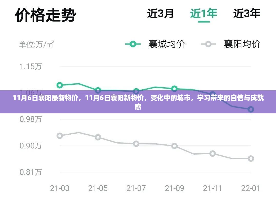 11月6日襄阳物价概览，城市变迁中的自信与成就感之源