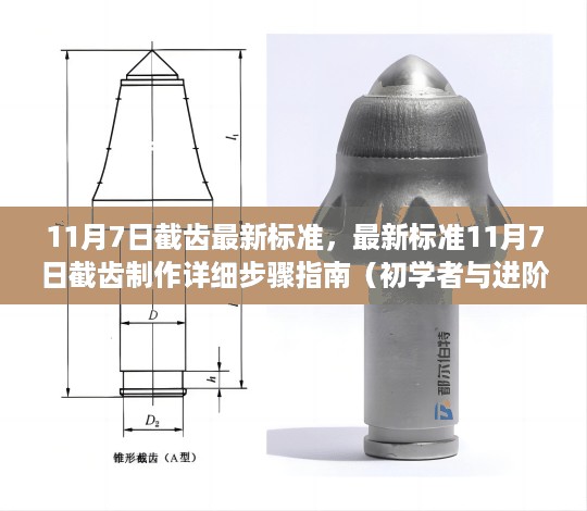 11月7日截齿最新标准制作指南，从初学者到进阶用户的详细步骤