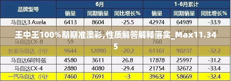 王中王100%期期准澳彩,性质解答解释落实_max11.345