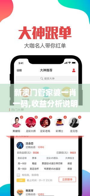 新澳门管家婆一肖一码,收益分析说明_战略款9.439