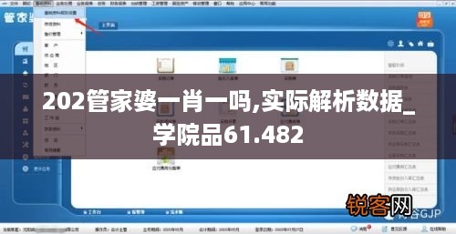 202管家婆一肖一吗,实际解析数据_学院品61.482