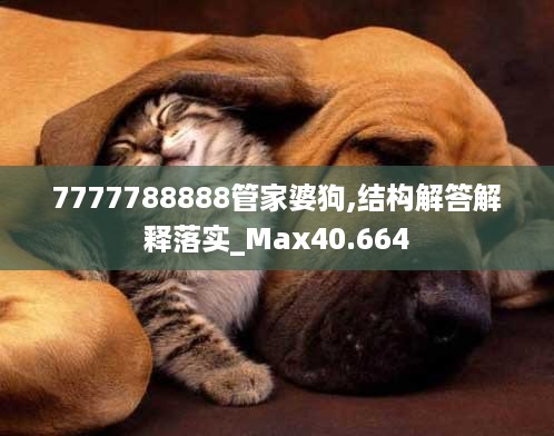 7777788888管家婆狗,结构解答解释落实_max40.664