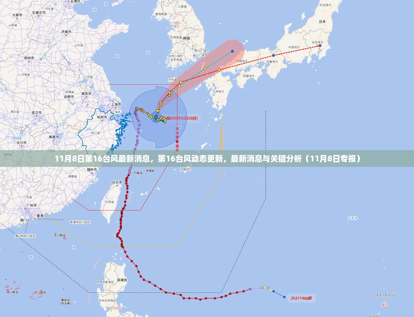 第16台风最新动态更新与关键分析（专报，11月8日）