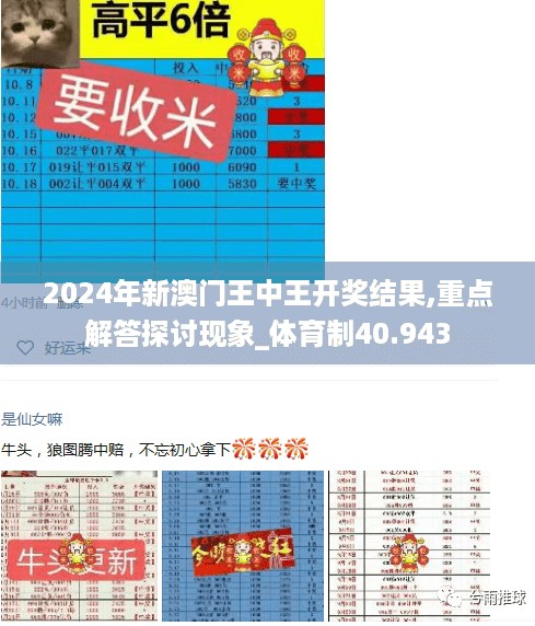 2024年新澳门王中王开奖结果,重点解答探讨现象_体育制40.943