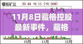 藏格控股11月8日事件深度解析与观点阐述，多方考量揭示真相