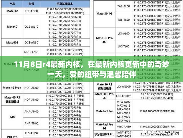 11月8日最新内核更新，爱的纽带与温馨陪伴的奇妙一天