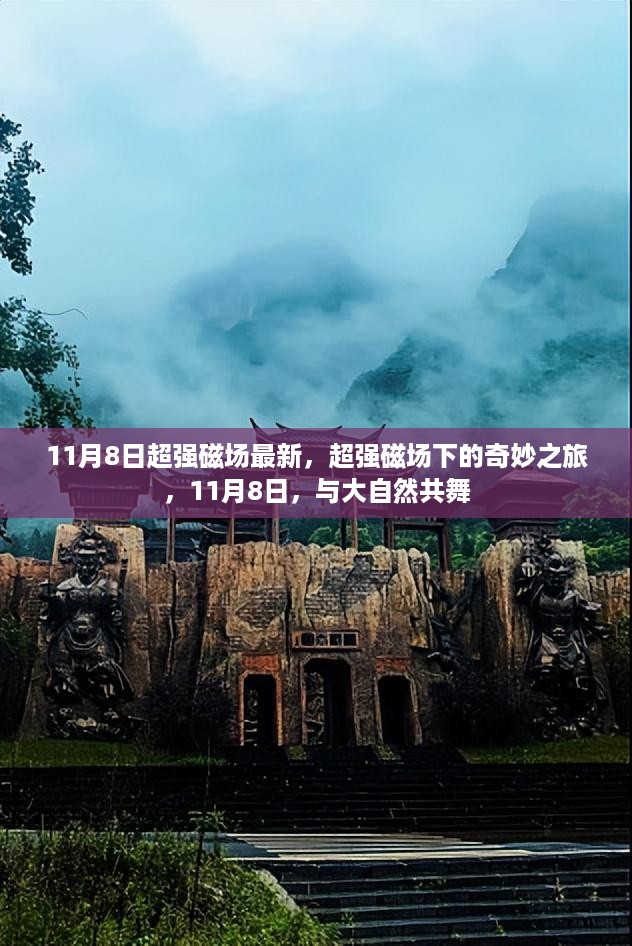 超强磁场下的奇妙之旅，与大自然共舞，探索未知世界