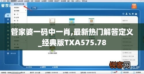 管家婆一码中一肖,最新热门解答定义_经典版txa575.78