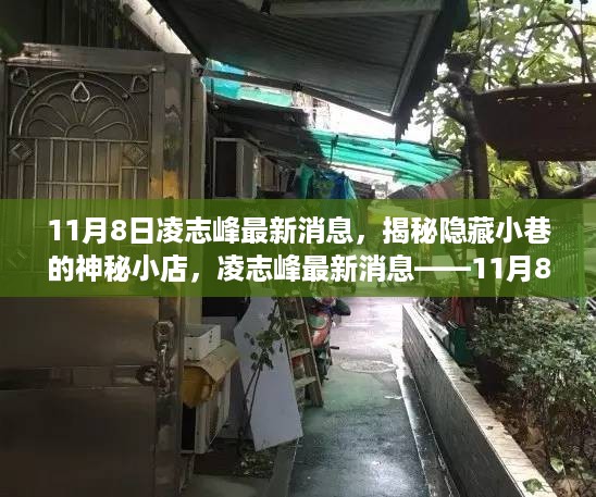 揭秘隐藏小巷的神秘小店，凌志峰最新发现之旅（11月8日）