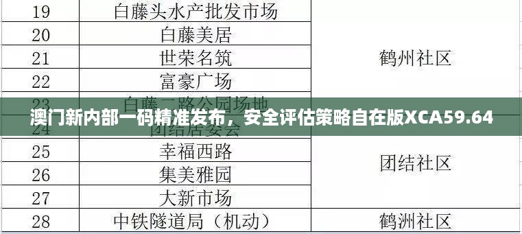 澳门新内部一码精准发布，安全评估策略自在版xca59.64