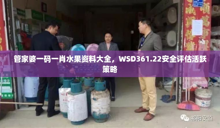 管家婆一码一肖水果资料大全，wsd361.22安全评估活跃策略