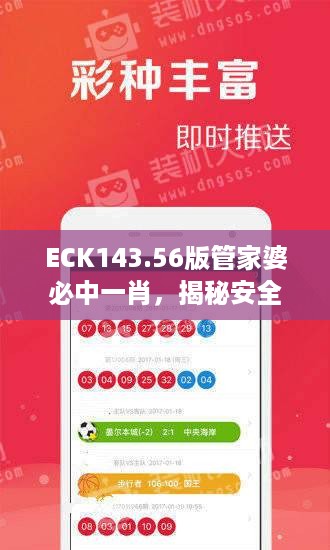 eck143.56版管家婆必中一肖，揭秘安全设计策略与操作技巧