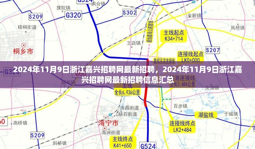 浙江嘉兴招聘网最新招聘信息汇总（2024年11月9日）