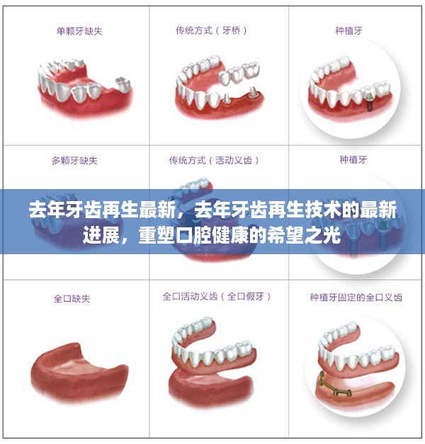 去年牙齿再生技术最新进展，重塑口腔健康的希望之光