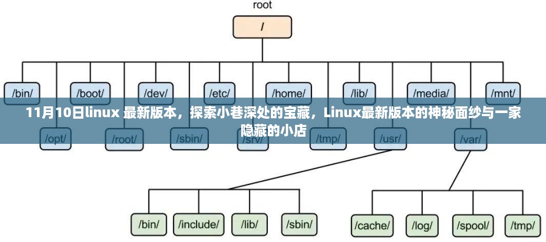 揭秘11月10日linux最新版本，小巷深处的宝藏与隐藏小店的神秘面纱