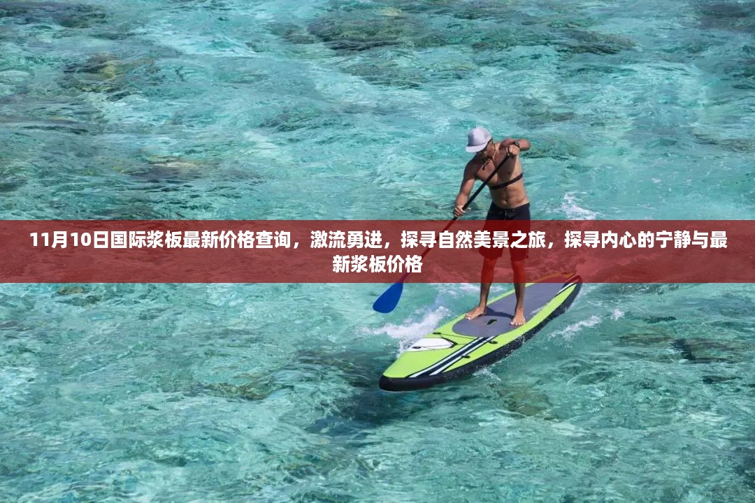 探寻自然美景之旅，最新浆板价格查询与激流勇进的宁静之旅